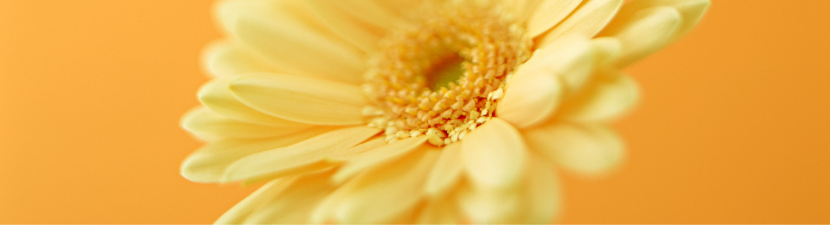 東京MTC学院の温かい雰囲気